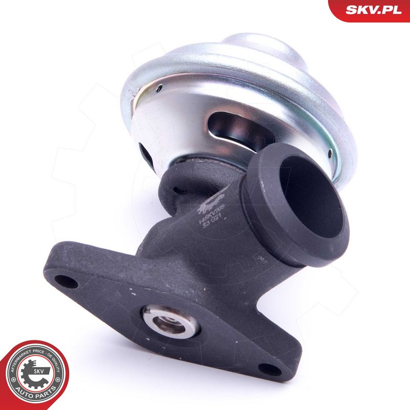 EGR-klapp, ESEN SKV 14SKV205