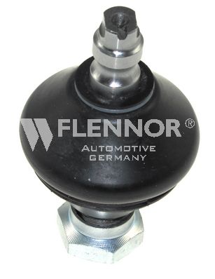 FL9901-D_001.BMP