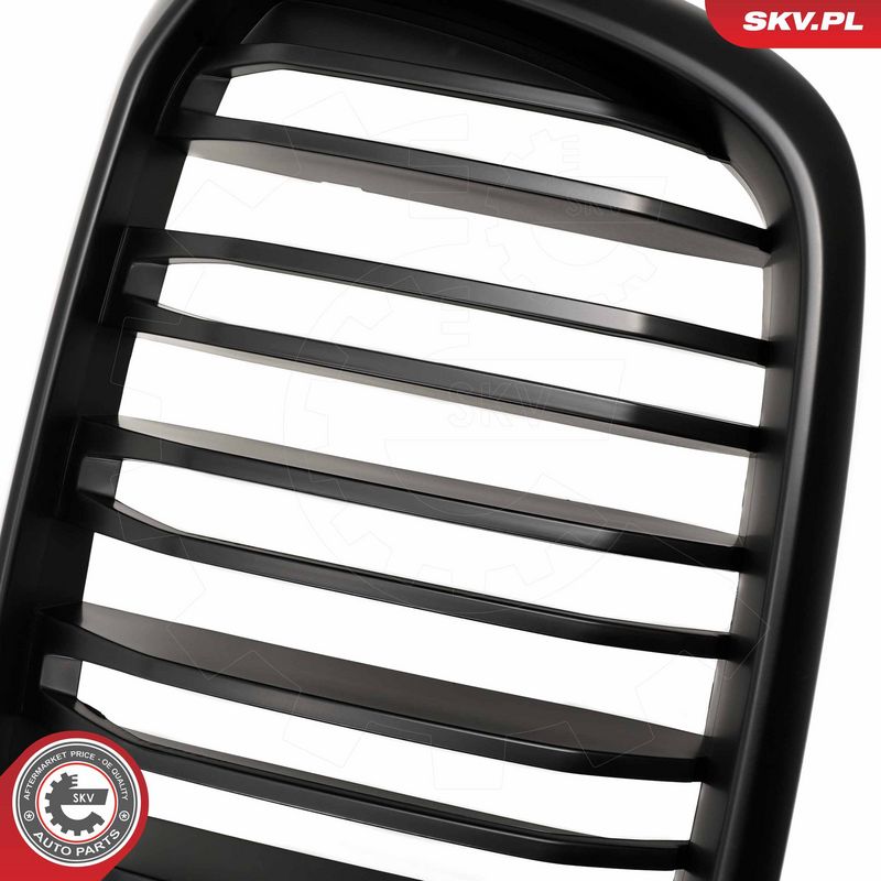 Radiaatorivõre, ESEN SKV 66SKV267