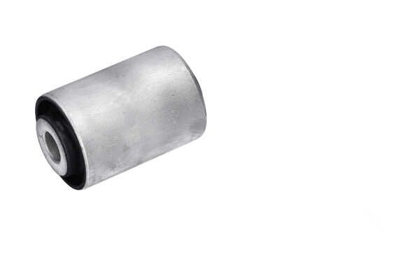 Kavo Parts SCR-10162 Pakabos svirties įvorė