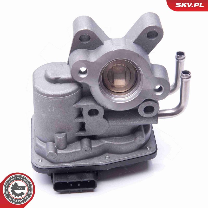 ESEN SKV 14SKV102 EGR Valve
