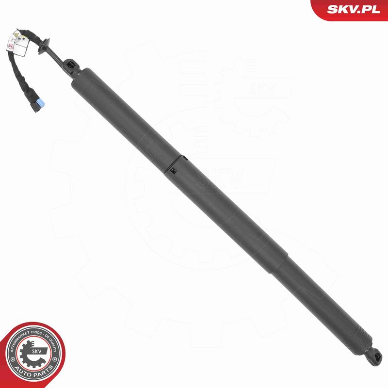 ESEN SKV 52SKV232 Electric Motor, tailgate