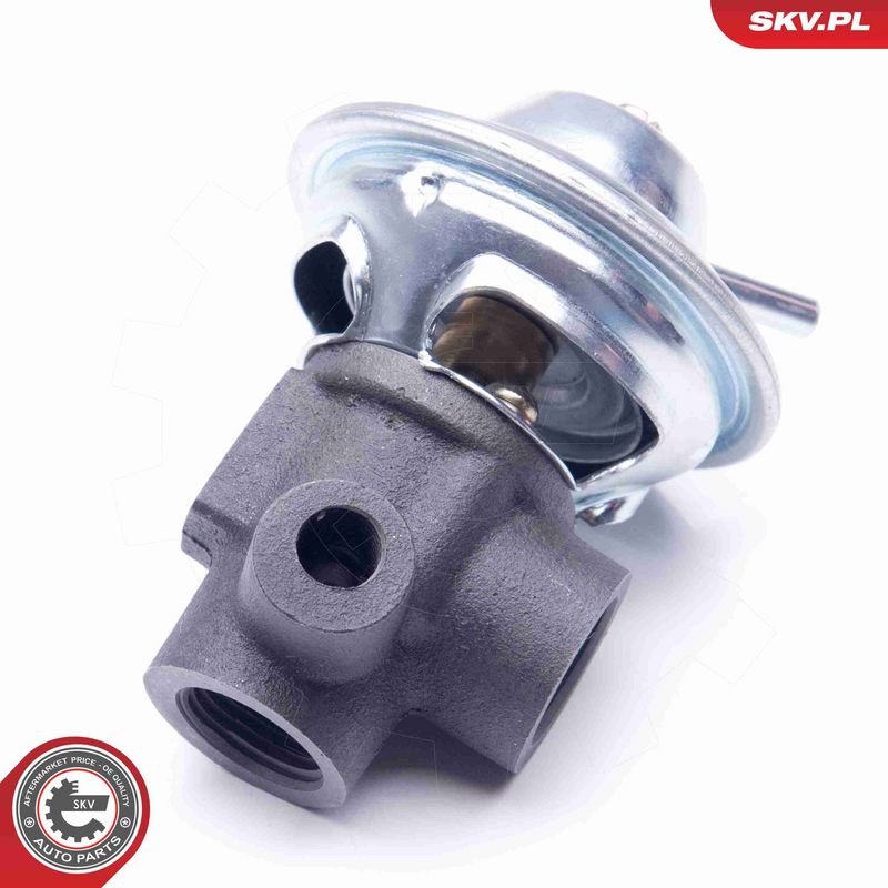 ESEN SKV 14SKV187 EGR Valve