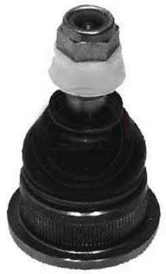 220038.JPG