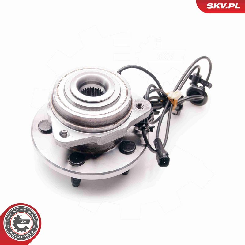 ESEN SKV 29SKV099 Wheel Bearing Kit