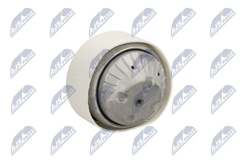 Paigutus, Mootor, NTY ZPS-ME-103