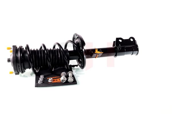 Vedruamort, GH GH-352388C01