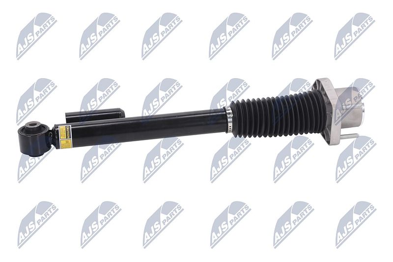 Amort, NTY A-LR-019