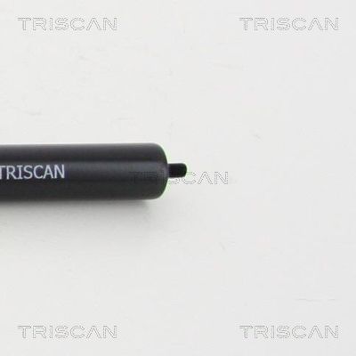 TRIS87101022648200_3.JPG