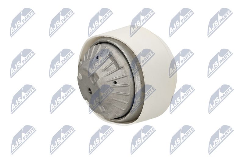 Paigutus, Mootor, NTY ZPS-ME-109