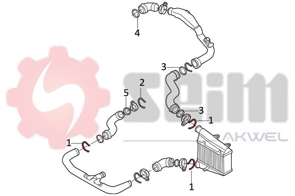 981943_3.JPG