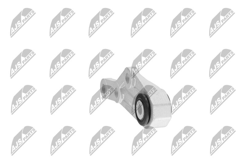 Paigutus, Mootor, NTY ZPS-CH-124