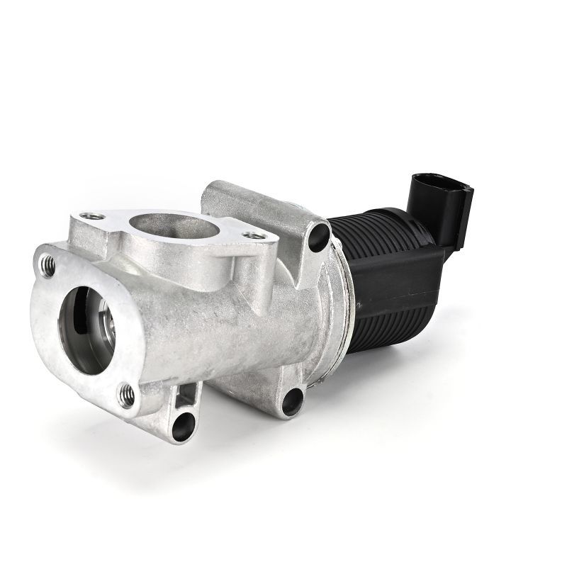 AGR-Ventil EG10403-12B1