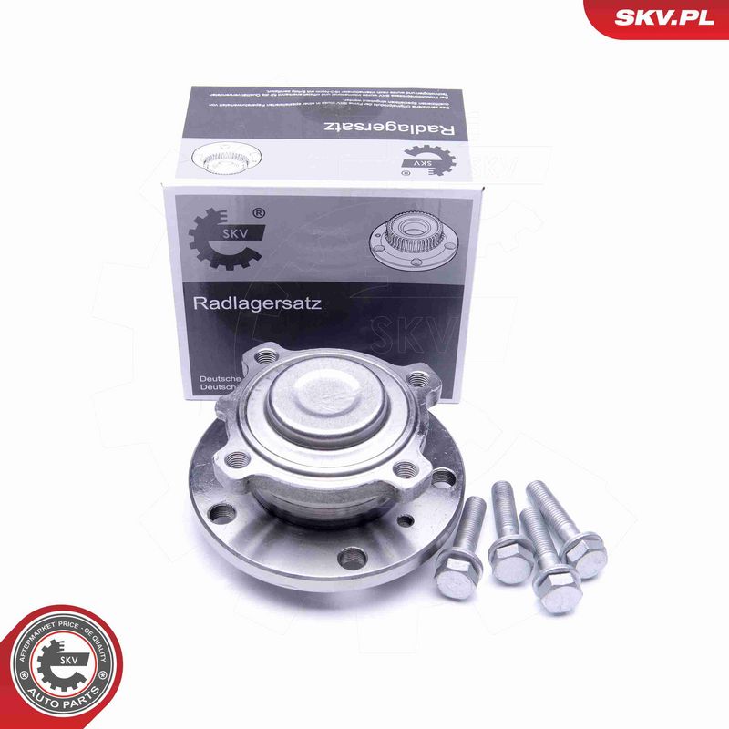 ESEN SKV 29SKV250 - Wheel Bearing Kit