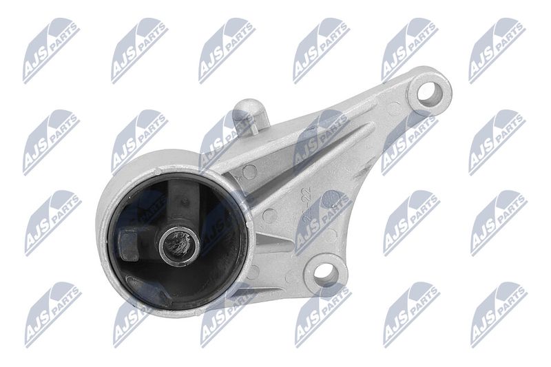 Paigutus, Mootor, NTY ZPS-PL-015