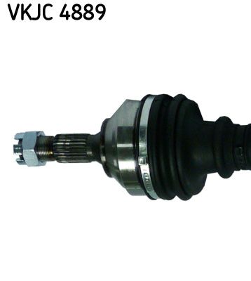 VKJC 4889_2.JPG