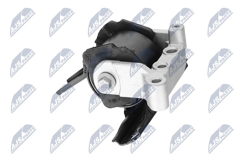 Paigutus, Mootor, NTY ZPS-CH-071