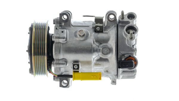 454619110.JPG