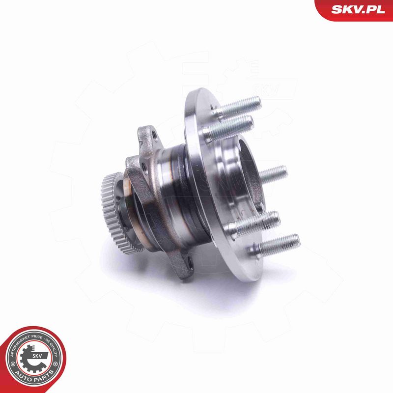 ESEN SKV 29SKV483 Wheel Bearing Kit
