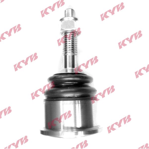 KYB-KBJ4403.JPG