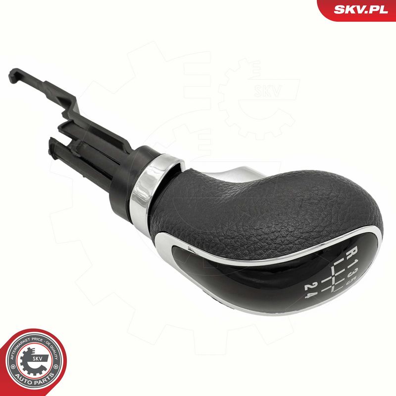 Käigukanginupp, ESEN SKV...