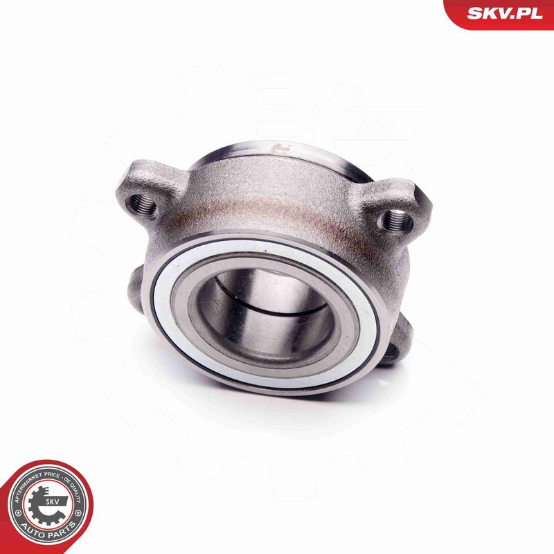 ESEN SKV 29SKV125 Wheel Bearing Kit