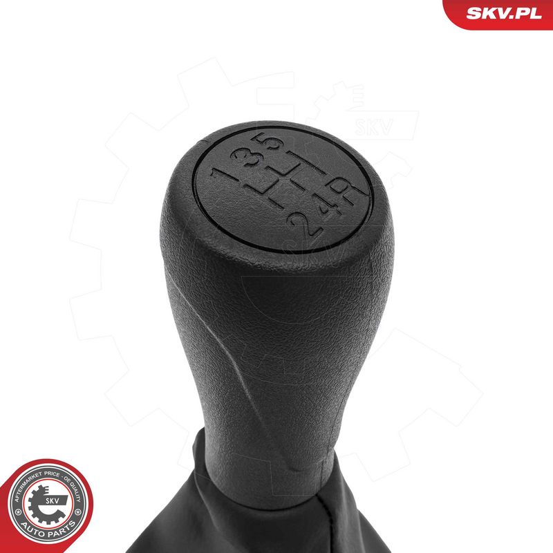 Käigukanginupp, ESEN SKV...