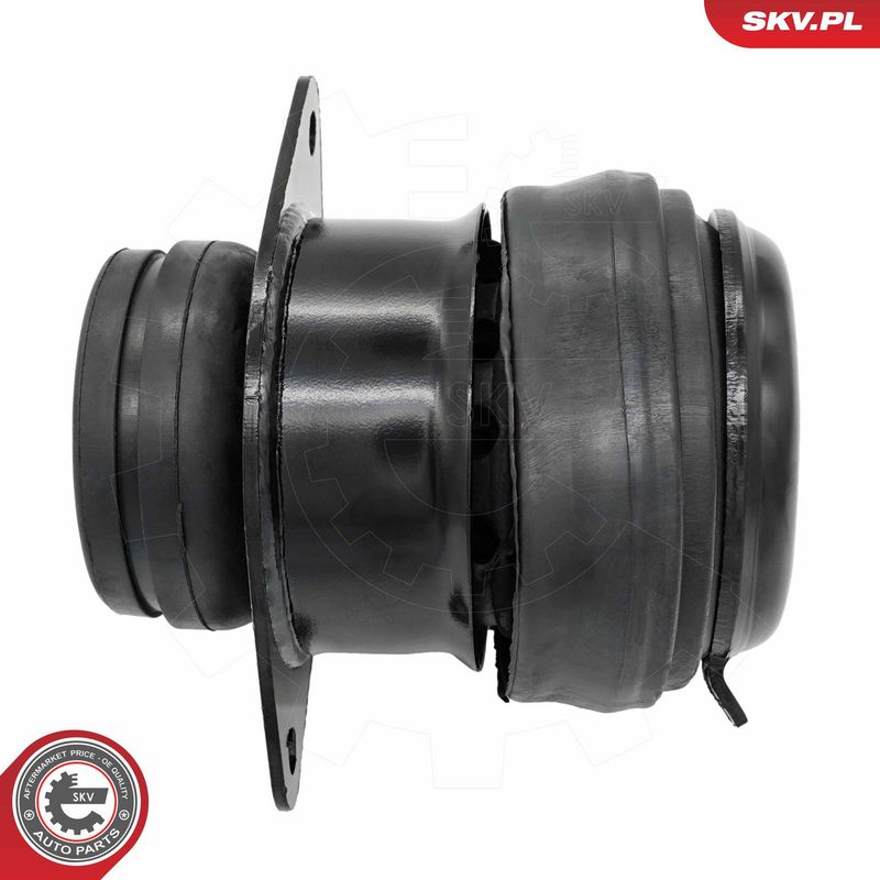 Paigutus, Mootor, ESEN SKV 75SKV241