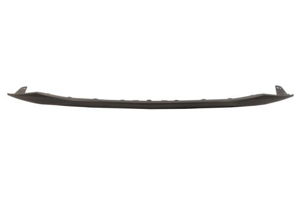 BLIC 6509-01-5545994P Trim/Protection Strip, bumper