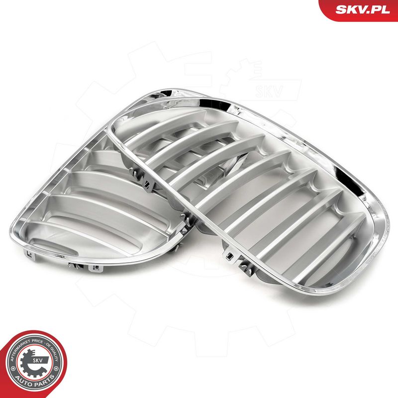 Radiaatorivõre, ESEN SKV 66SKV279