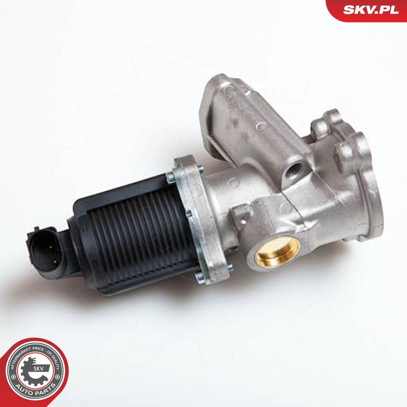 EGR-klapp, ESEN SKV 14SKV014