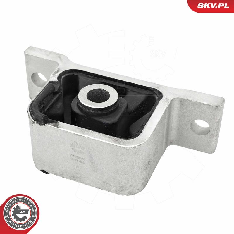 Paigutus, Mootor, ESEN SKV...