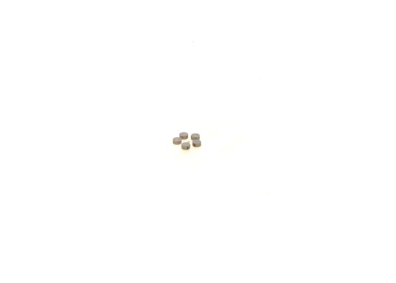 BOSCH 1410067231 Washer