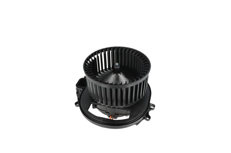 Salongipuhur, NRF 34236