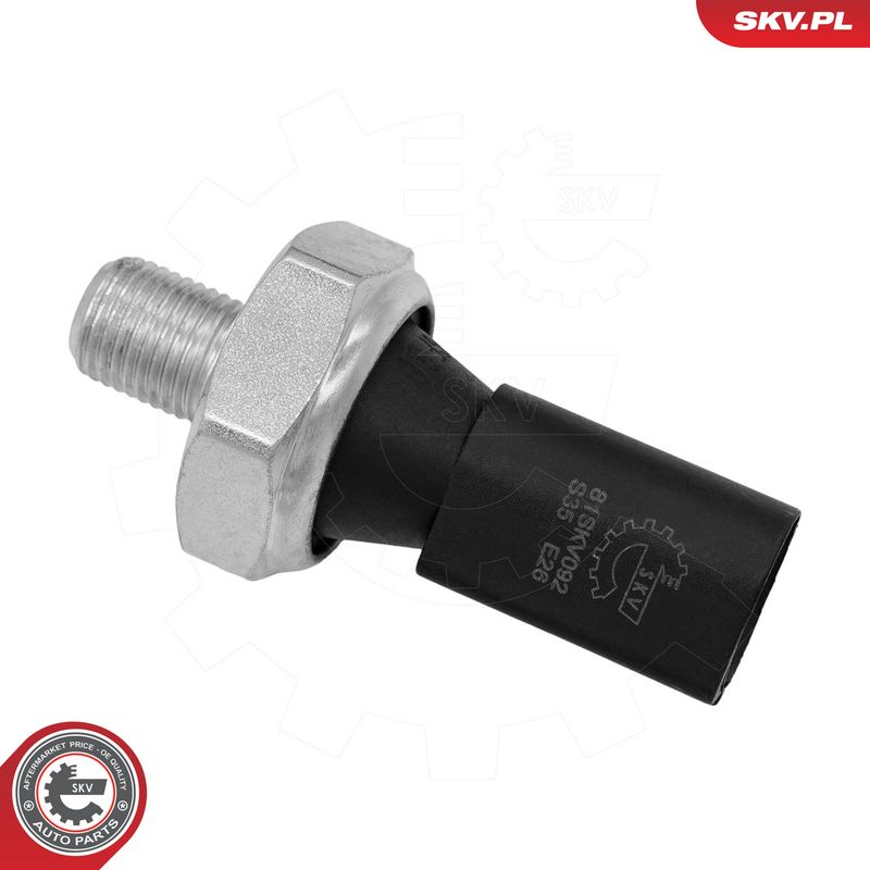 Prekės atitinka OEM kodą: 079 919 081