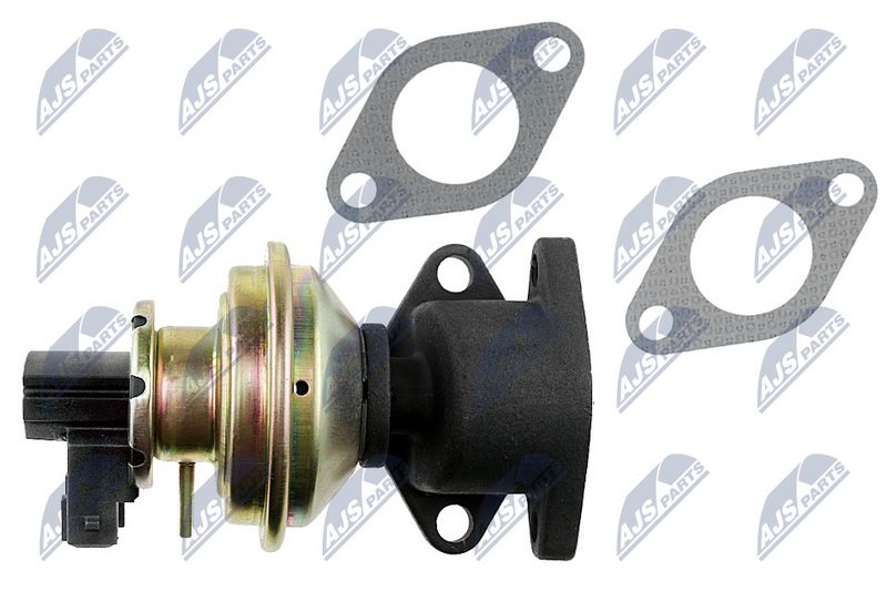 EGR-klapp, NTY EGR-LR-001