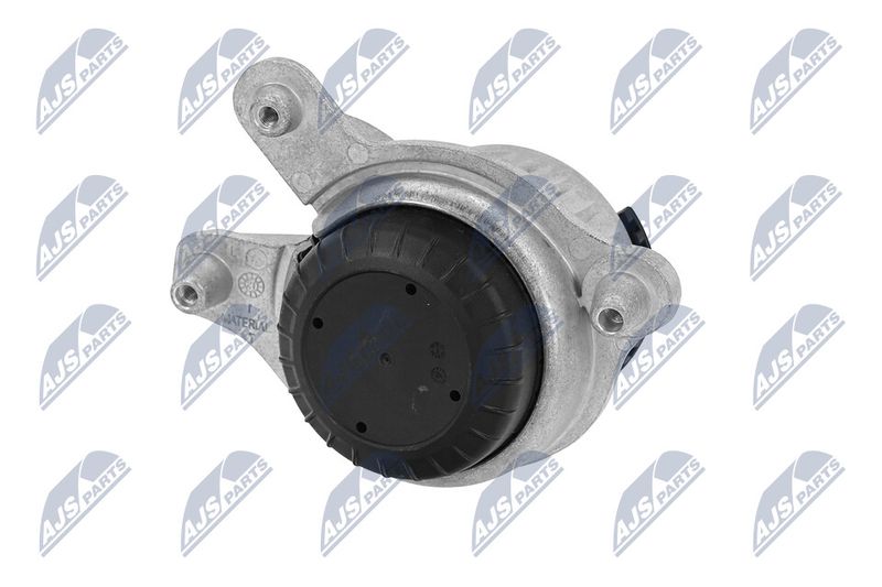 Paigutus, Mootor, NTY ZPS-ME-018