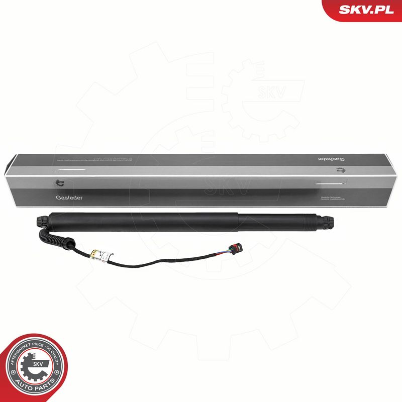 Elektrimootor, tagaluuk, ESEN SKV 52SKV206