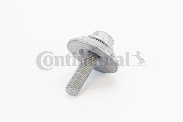V49071.JPG