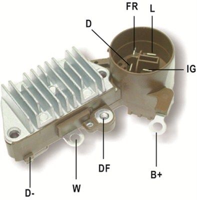 DDF_AMP0842_WR.JPG