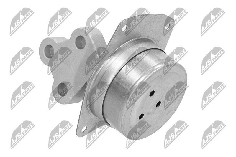 Paigutus, Mootor, NTY ZPS-PL-025