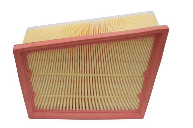 AUTOMEGA 210021410 Air Filter