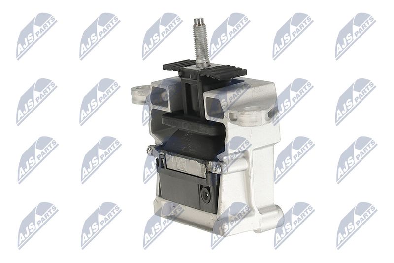 Paigutus, Mootor, NTY ZPS-LR-011