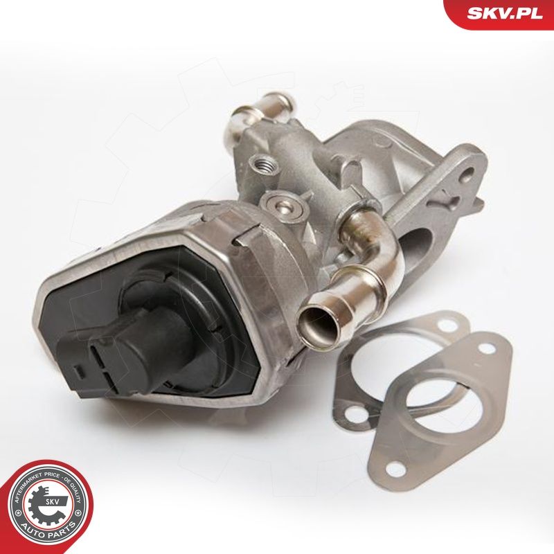EGR-klapp, ESEN SKV 14SKV044