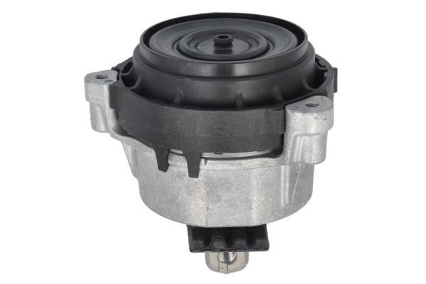 REINHOCH RH11-3168 Mounting, engine