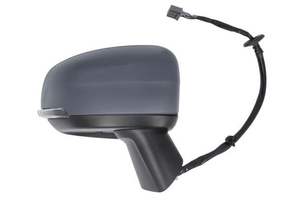 BLIC 5402-24-2025313P Exterior Mirror