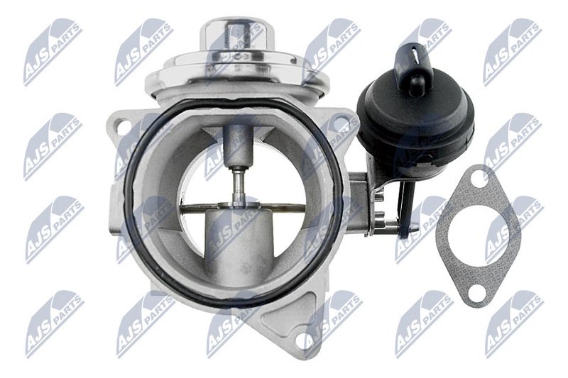 egr-vw-008_3-wm.JPG