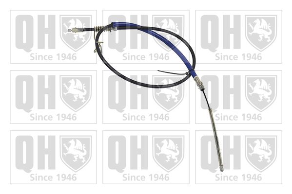 QH_BC3238.JPG