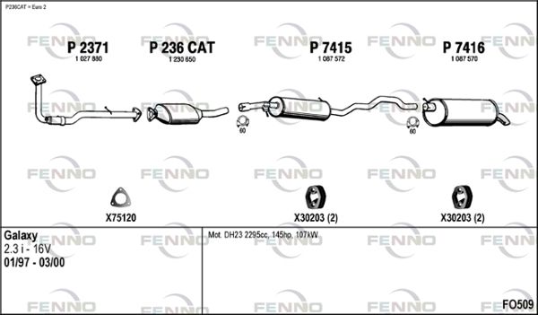 FO509.JPG