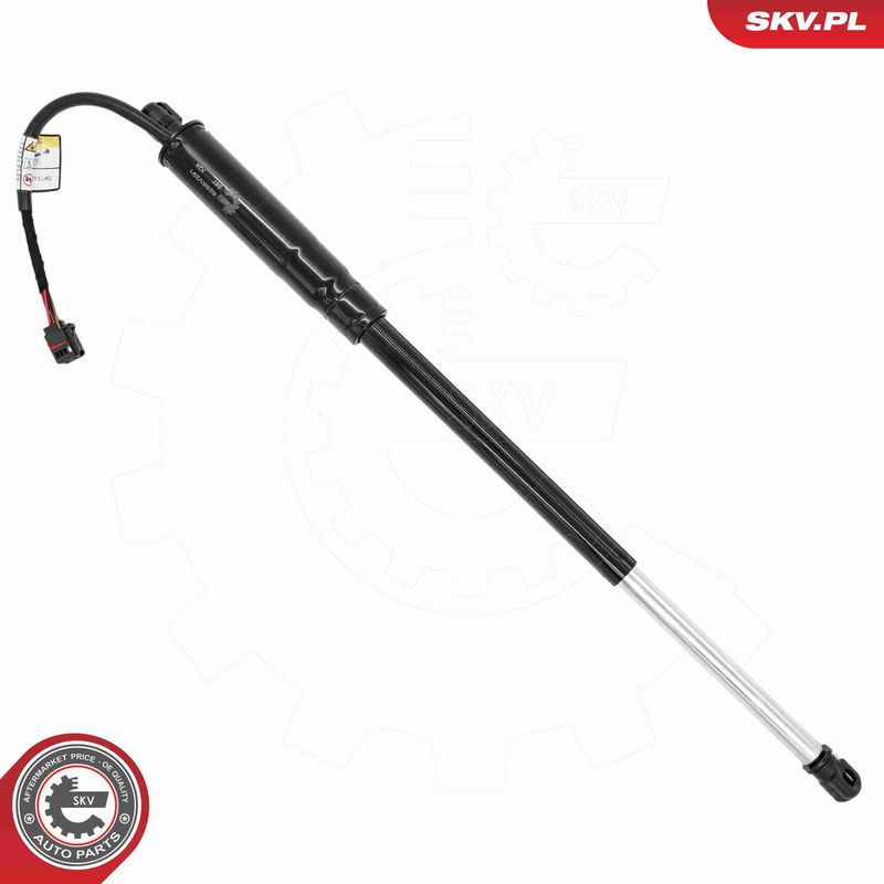 ESEN SKV 52SKV291 Electric Motor, tailgate